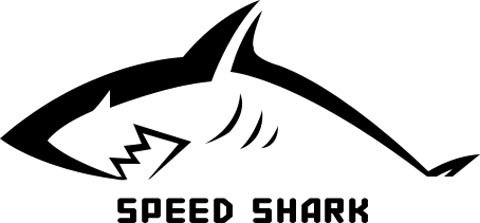 艾格拉斯CEO王双义出席TFC 畅谈速鲨引擎发展之路